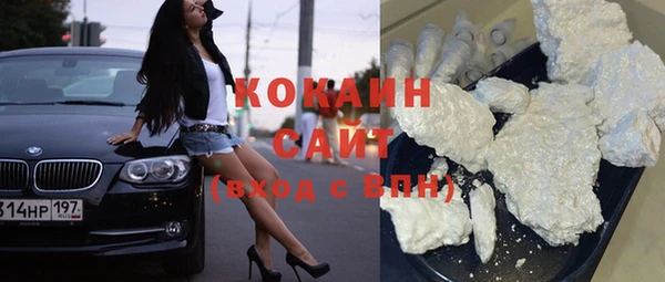 гидра Абаза