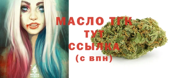 гидра Абаза