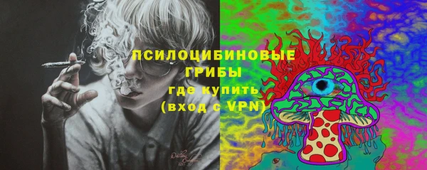 гидра Абаза