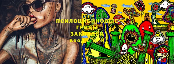 гидра Абаза